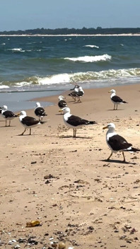 Wir Reisen Zum Strand Von San Luis