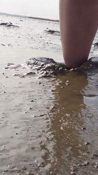 Con Finas Medias En El Mar De Wadden De Wangerland