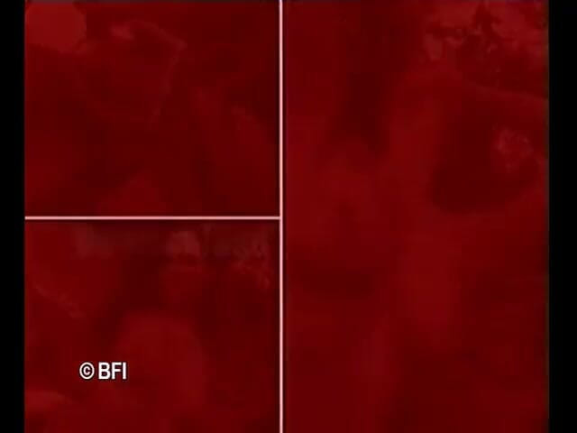 Bizzar hardcore party: Awek berbulu