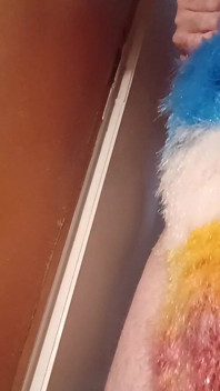 Rainbow Duster