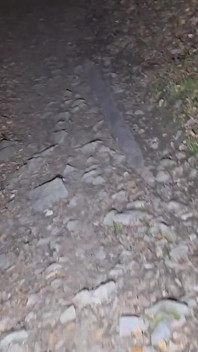 Caminata nocturna y quitar la mayor parte de mis ropas