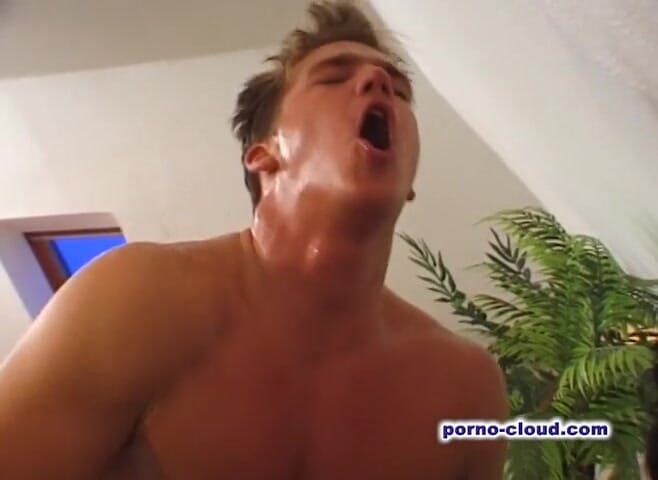 Porno Cloud: Big Babes Pleasure - Dvd