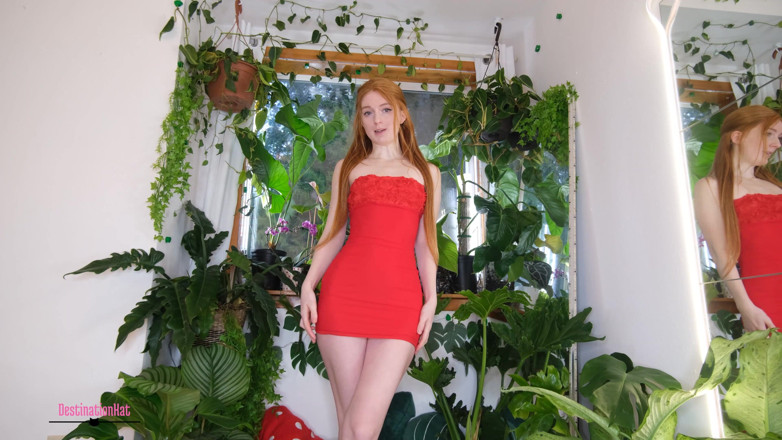 Destination Kat: Nuốt tinh của bạn