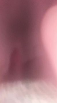 Big Ass Dildo