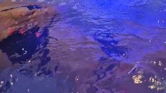 chodasse13: Jacuzzi Session