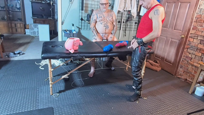City hog: eds ein schwein