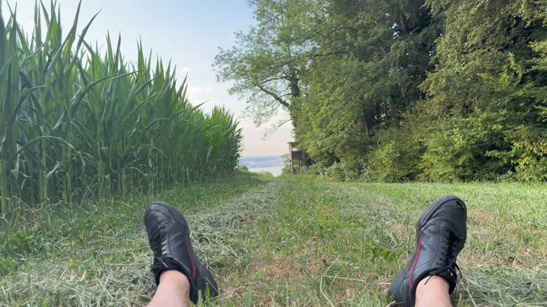 Daddys Legacy: Rischioso Bwc Pubblico Accarezzare All'aperto Sul Prato Con Vista Sul...