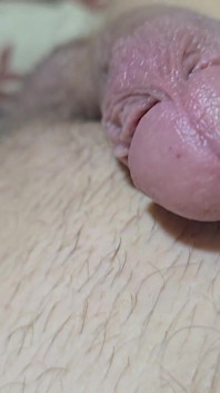 Sweet BF Dick