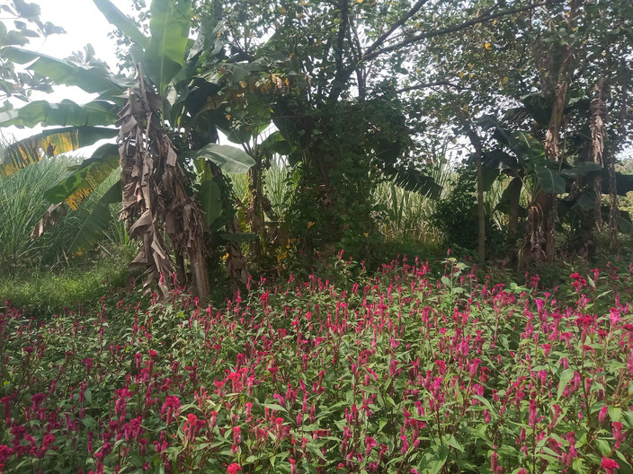 Priyanka314: Тетушка показывает аудио с большими сиськами в молодом мужчине