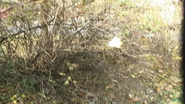 XXXEROTICONLY: Підліток Трахкав У Парку І Бризкав У Рот