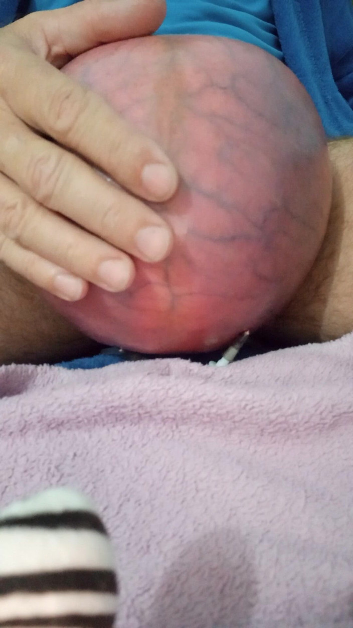 Lion big balls: Aria estrema