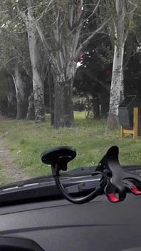 Stranger Masturbates My Girlfriend in Park