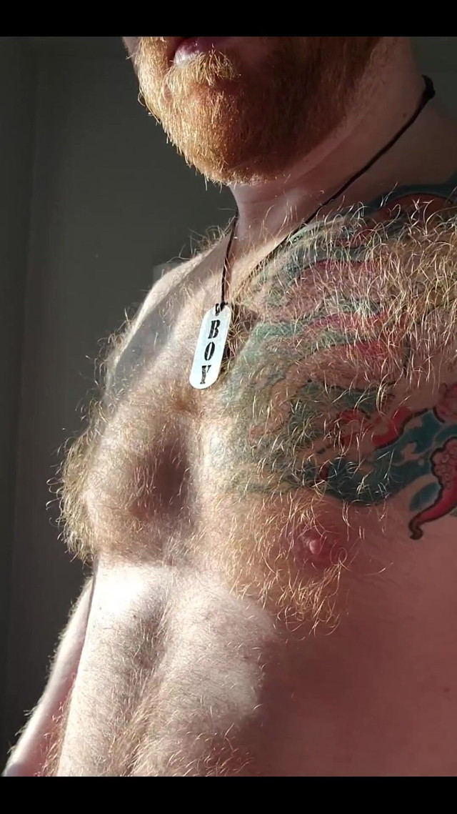Sometimes the Light Hits My Ginger Fur Juuuuust Right (Logan Stanley) Sometimes the Light Hits My Ginger Fur Juuuuust Right (Logan Stanley)