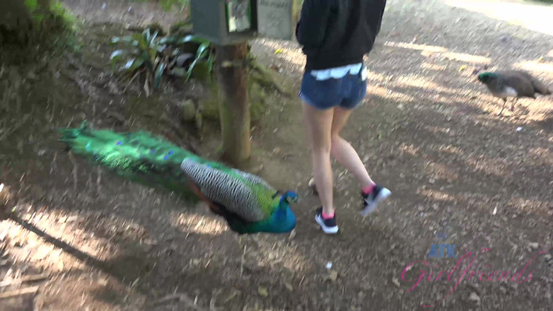 ATK Fans (Girlfriends): Vacaciones virtuales en Hawaii con Bailey Brooke parte 7