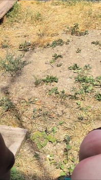 Зрілу сіссі дуже жорстко трахає в саду майстер Боб