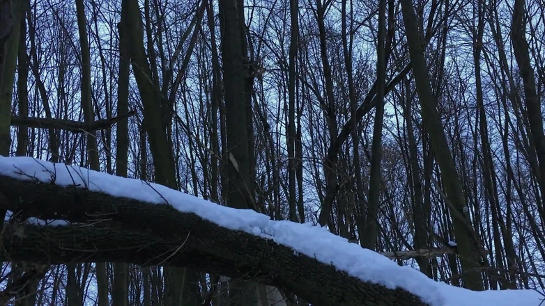 Idmir Sugary: L'inverno si masturba due volte nella terra innevata