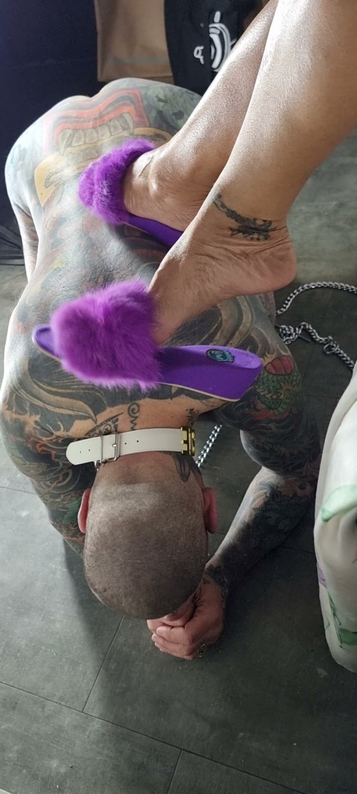 MiLadySaintLawrence: Under My Feet Slave and Worshi My Foot