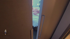 Flight Attendant Fiona: Nakukování POV