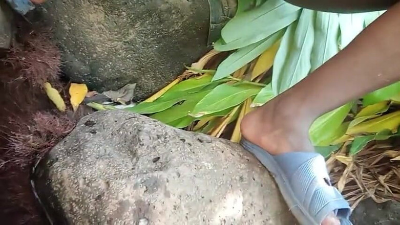 Sexyjayla254: Чуттєва мастурбація і камшот на відкритому повітрі