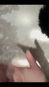 Nové fotky z My Pussy