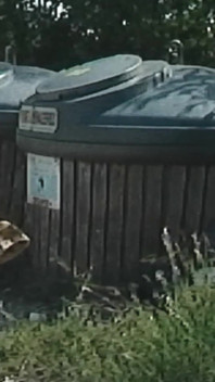 Recycling Outing... Naughty in Miniskirt and Tail Plug