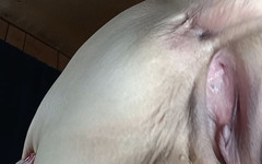 HerculesnVENUS: Big T Puts a Hurting and Shes a Squrting