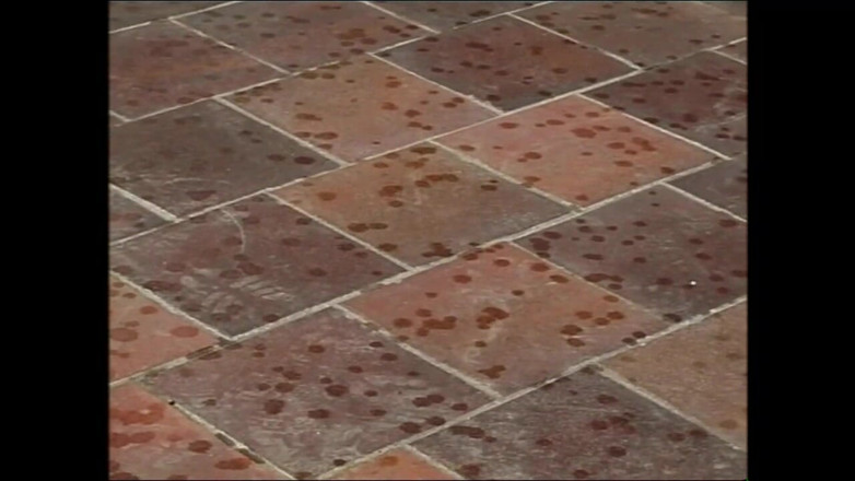 MMV films - The Original: De belles filles à la recherche de grosses bites bien dures...