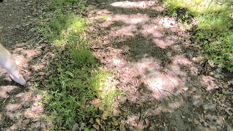 Bouncy Tits Action: 完全裸露的胸部在树林里敲打