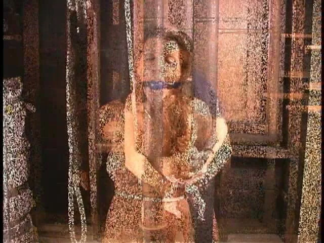 Hogtied by Kink: Shay Památky