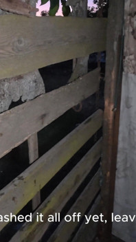 Seifige Nackte Körper in Einer Ländlichen Dusche