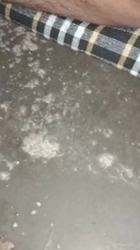 Indian Boy Black Dick Masturbate and Cum