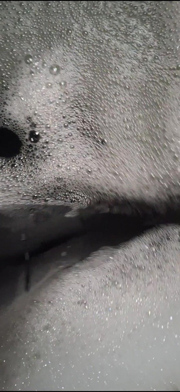 Dreamofevolution: Hoy es día de baño