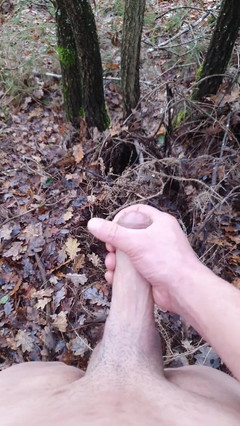 Timmyboy: Timmyboy aku pergi untuk lari di hutan dan aku jadi...