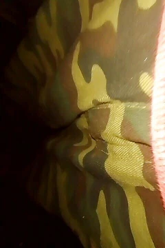 자정에 소니아 교장 메이 피스커스 공물의 Forest_haunted 유적의 왕