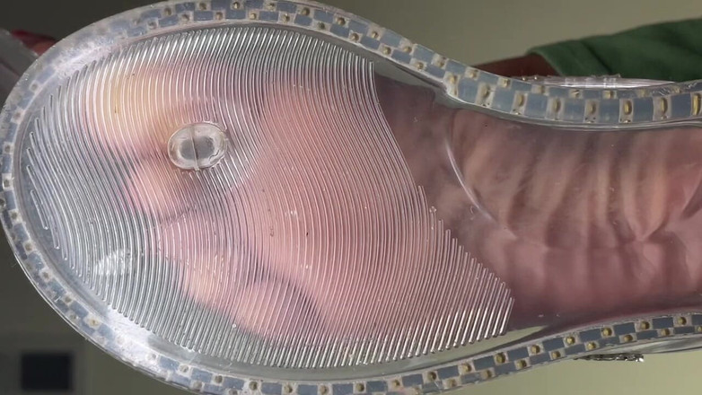 Pink Foxx: Pink Foxx v Clear Flip Flops