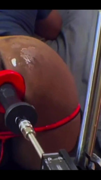 Ada yang mau nyepong kontol?