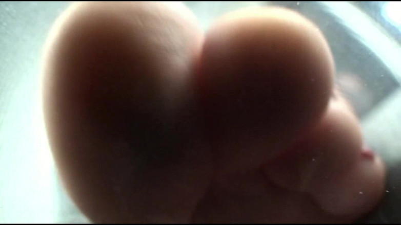 Ella Kross: Intrappolato nelle mie calze di nylon sudate