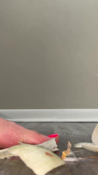 Pés Esmagam Cebola, 4K Pés, Vídeo POV