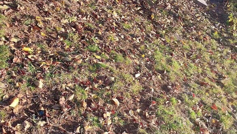 sweethanajapanese: Arabada kıllı amcığını açıyor ve sonra dışarı çişini yapıyor