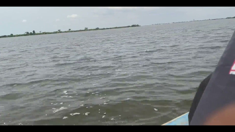 King Sasha's hub: A Journey Through the Sea