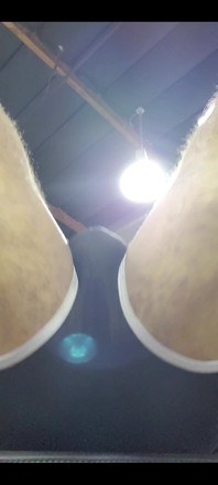 Getting Those Squats in...
