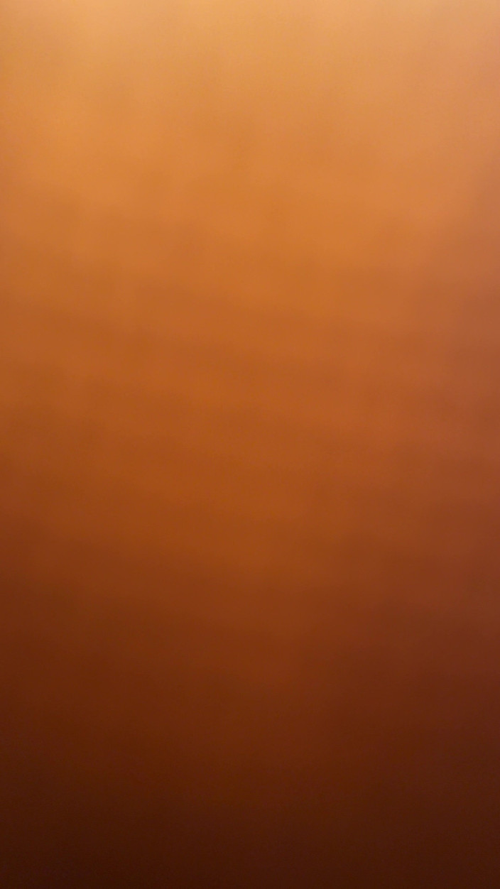 Morflot24: Solo eksplozja młodego stadniny