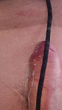 Everybody Loves Girl Cock in Pantyhose