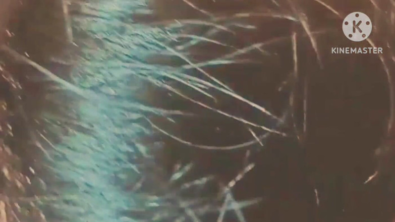 Your nisha bhabhi: Jija Ji Ne Choda Saali Ko Khub Hind Clear Audio