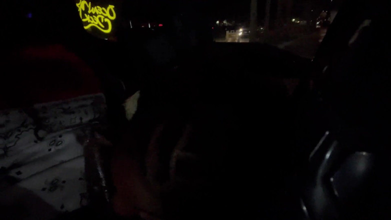 Fijii pornbox: Quick Blowjob in the Car
