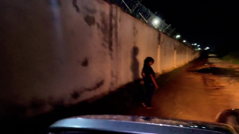 Black swan: I Pick up a Black Girl Next to the Road...