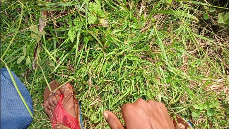 LinearOrnament35: Vlog Seks bergoyang membuatkan zakar lebih lama