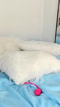 Anal Sex Dildo BBC