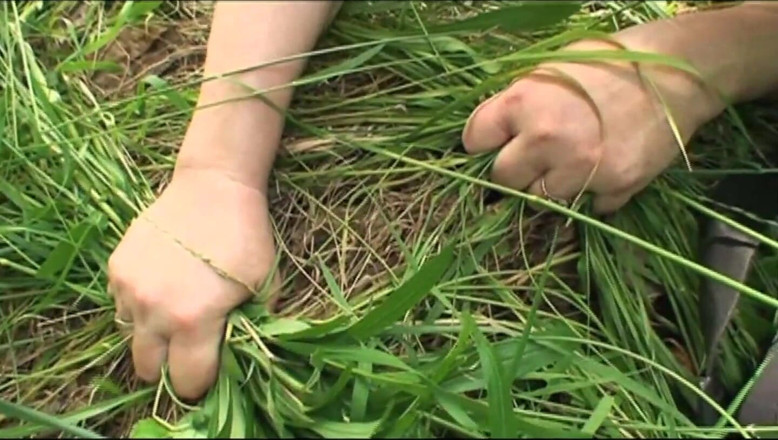 Xtime Network: Old couple pussy fucking in the forest