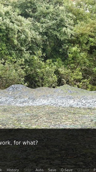 Castaway hikayesi: ırklararası grup seks ve ormanda çifte penetrasyon - bölüm 19